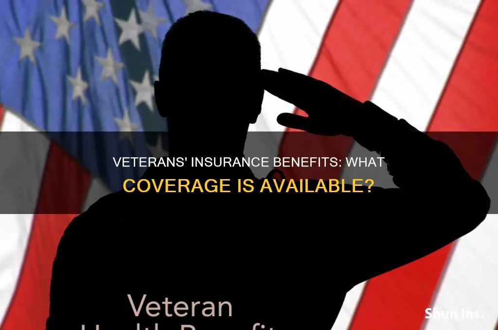 what insurance do veterans have
