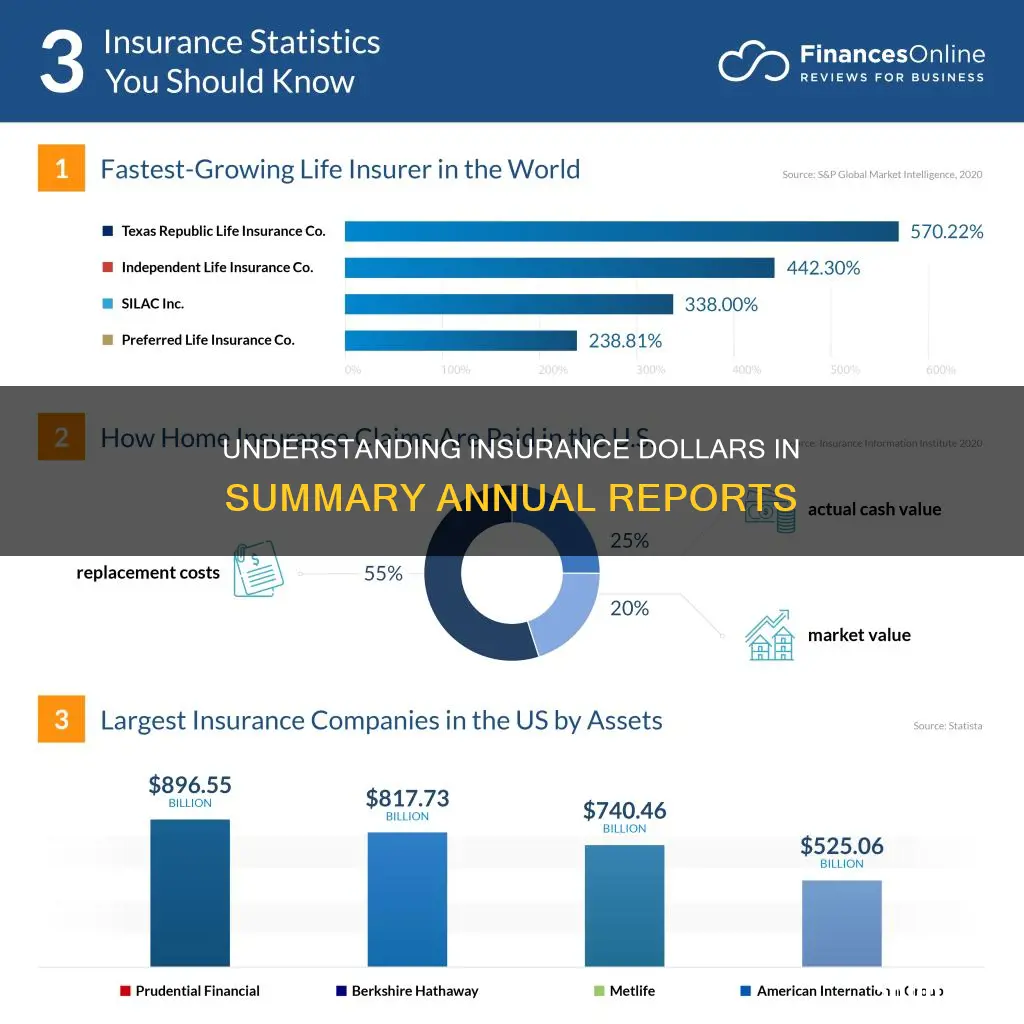 what insurance dollars are reported on sumary annual report