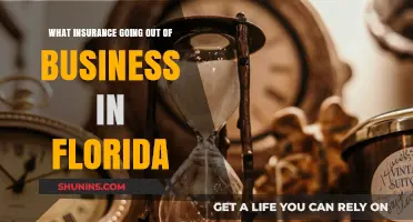 Florida's Insurance Crisis: Companies Going Out of Business