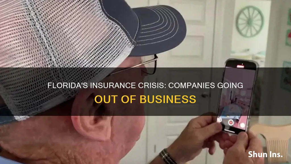 what insurance going out of business in Florida