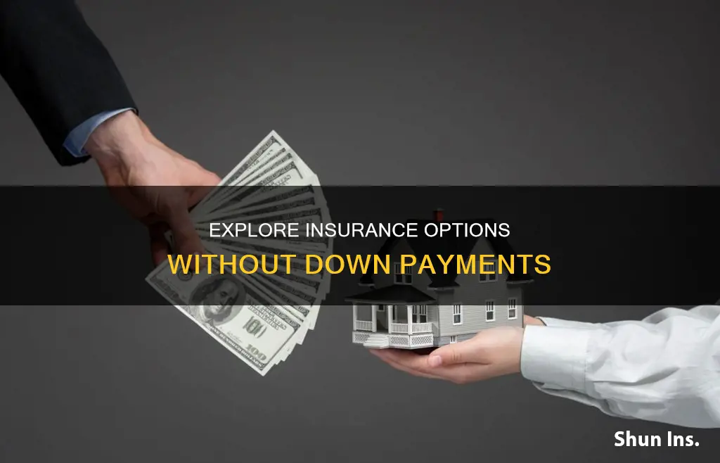 what insurance has no down payment