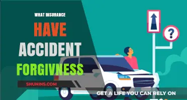 Accident Forgiveness: Which Insurance Companies Offer This Feature?