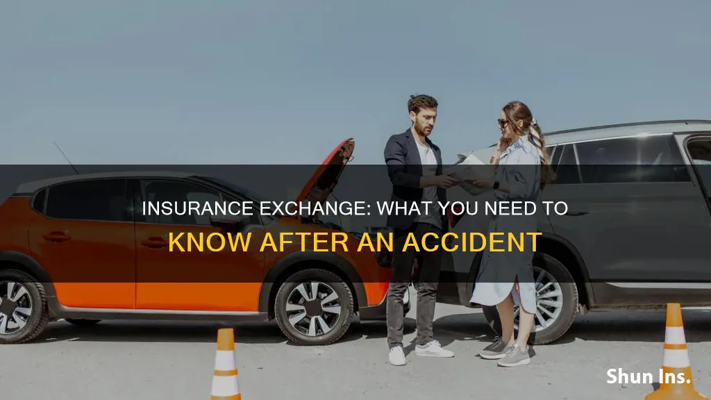 what insurance info to give in an accident