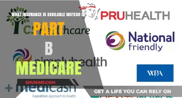 Explore Medicare Part B Alternatives with Private Insurance