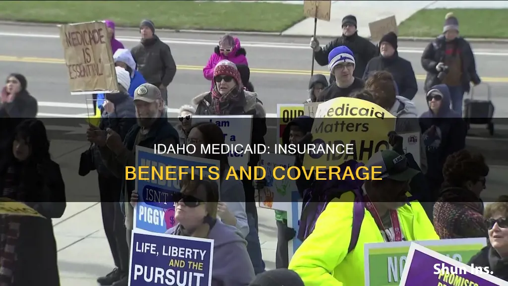 what insurance is idaho medicaid