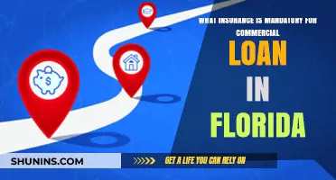 Florida Commercial Loan: What Insurance is Essential?