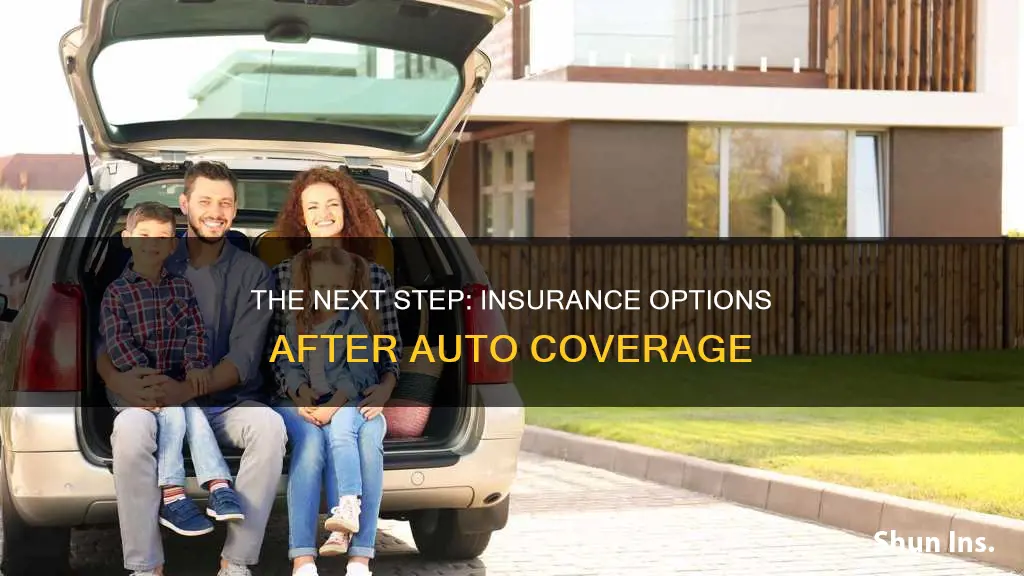 what insurance is next after auto