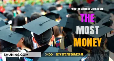 Lucrative Insurance Careers: Top-Paying Roles Revealed
