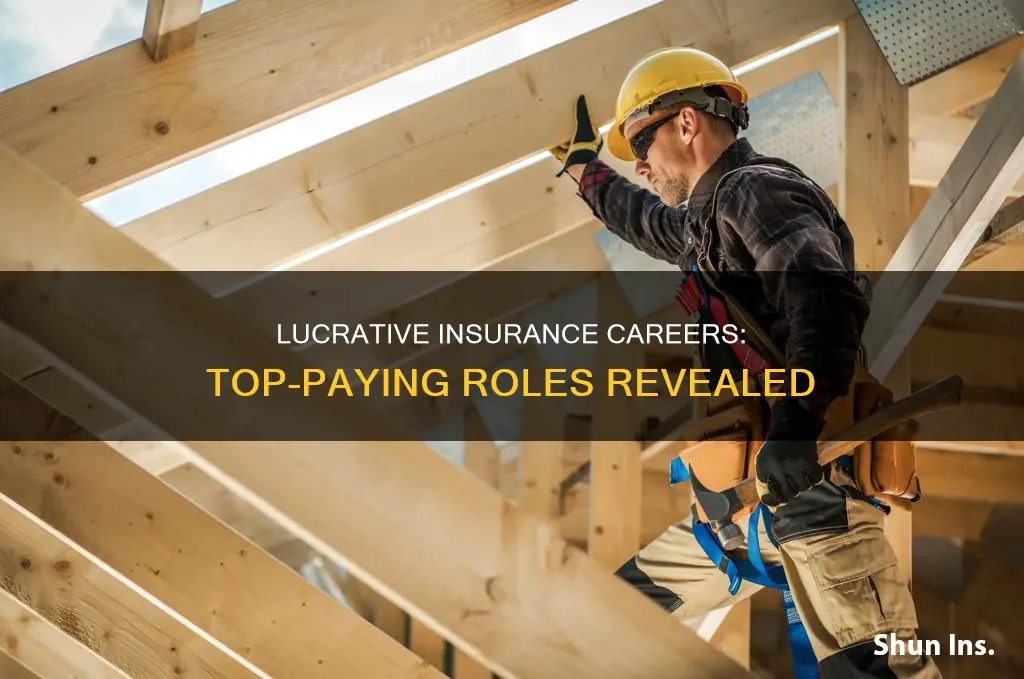 what insurance jobs make the most money