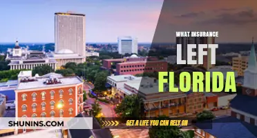 Florida's Insurance Exodus: Why Companies Are Leaving