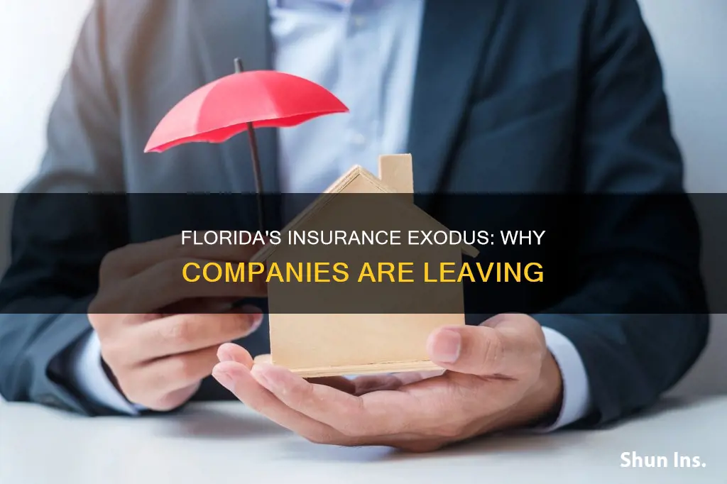 what insurance left florida