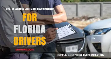 Insurance Limits: Florida Drivers, What You Need to Know