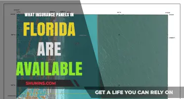 Florida Insurance Panels: Who's Available?