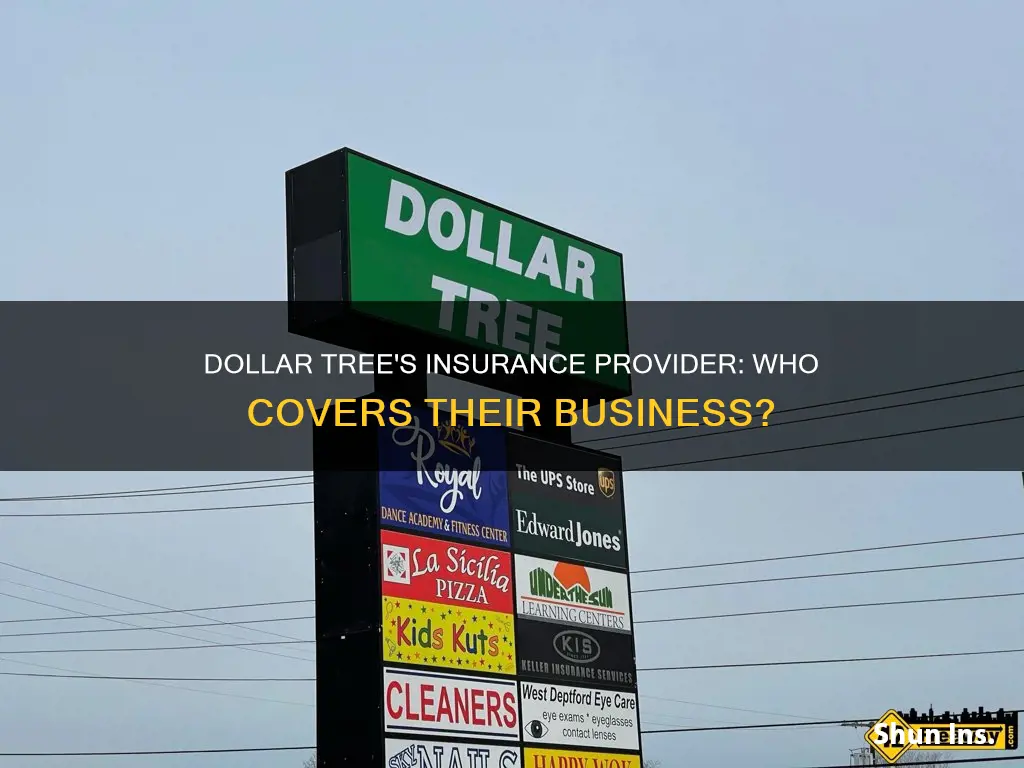 what insurance provider does dollar tree go through