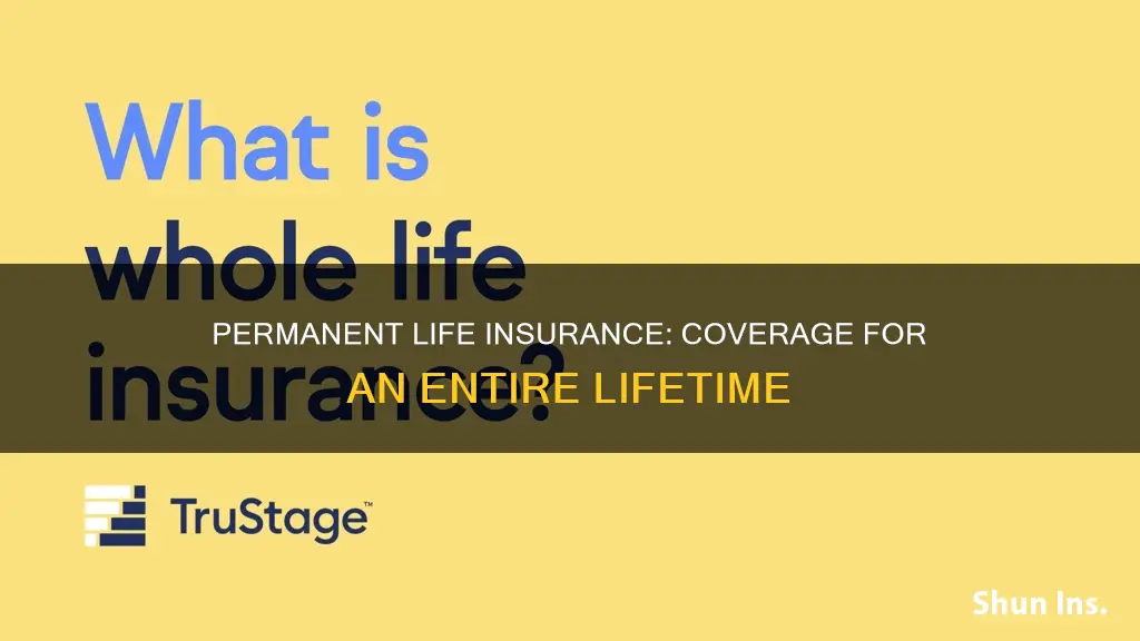 what insurance provides permanent coverage during an individual