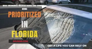 Florida's Insurance Priorities: What's the Focus?