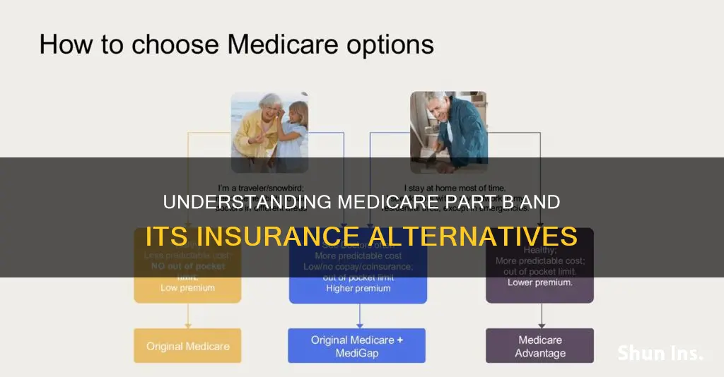 what insurance replaces medicare partb
