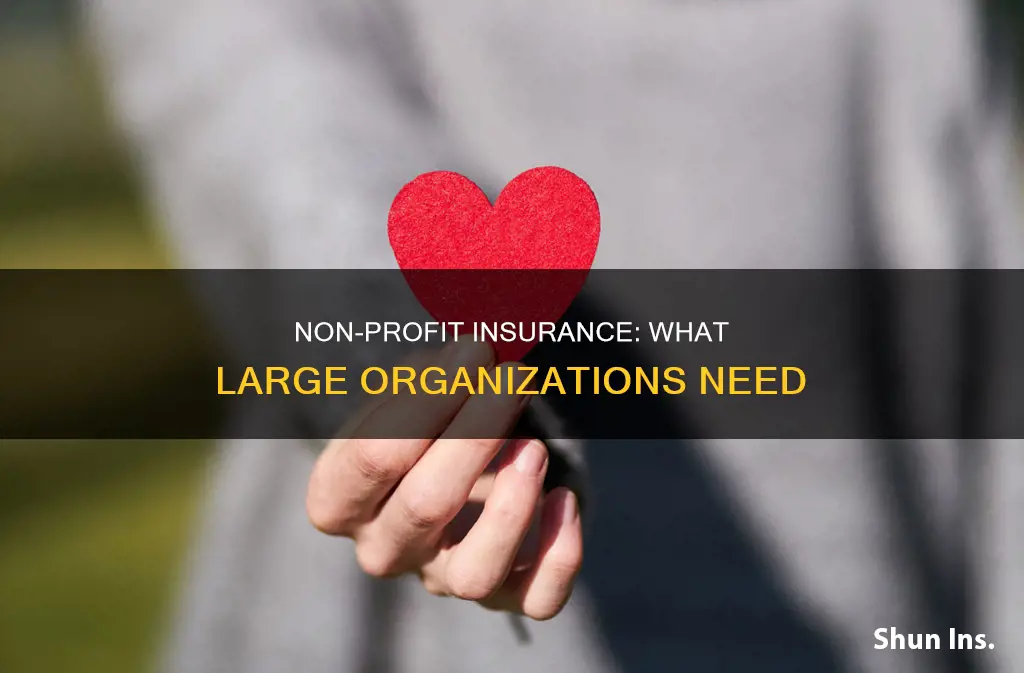 what insurance should a large non profit carry