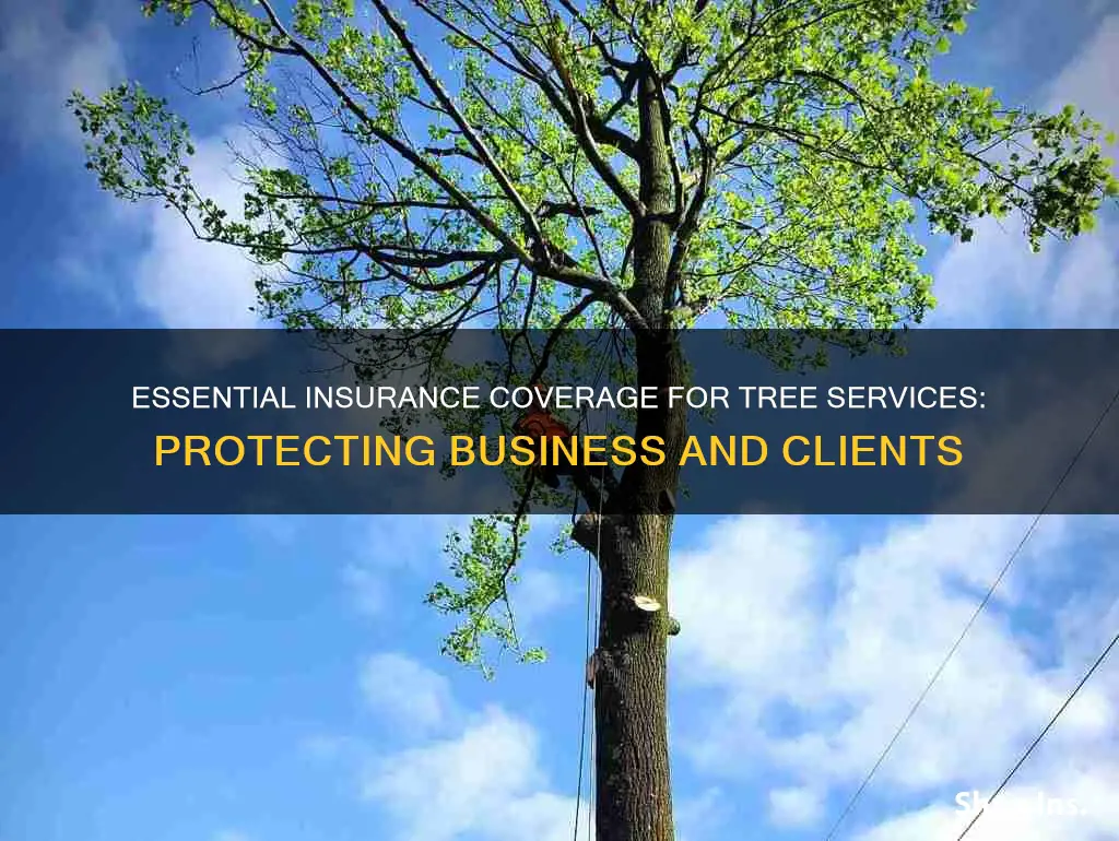 what insurance should a tree service have