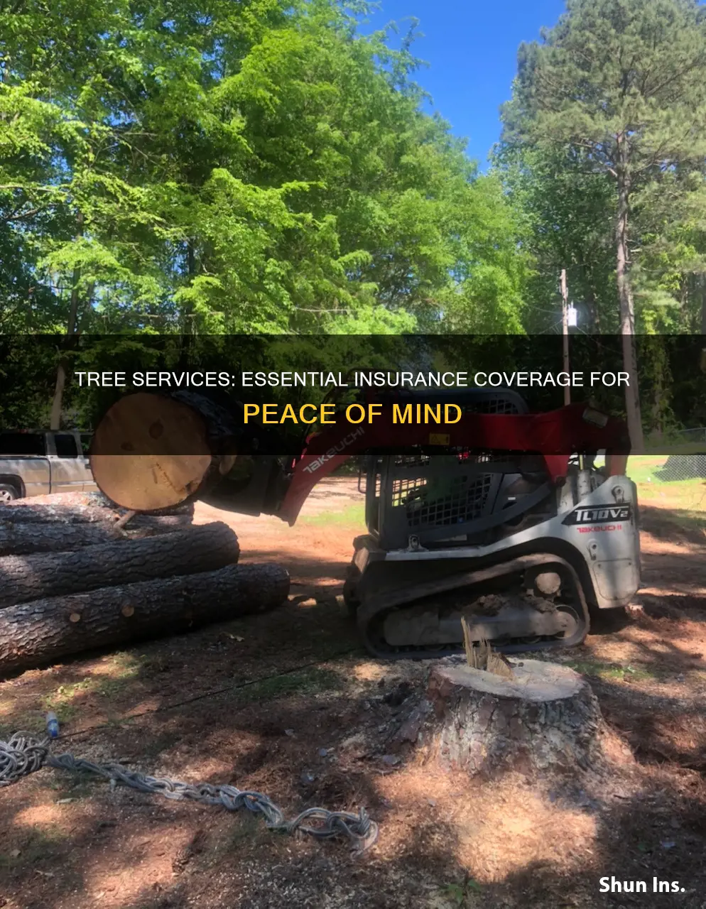 what insurance should a tree service have