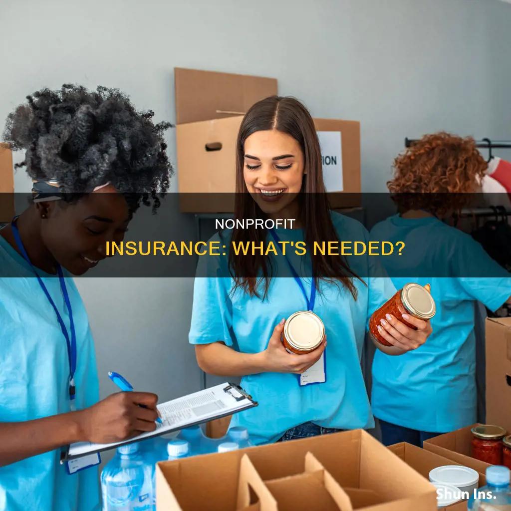 what insurance should nonprofits carry