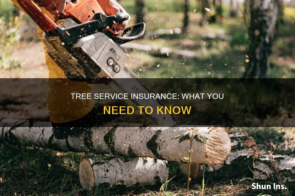 what insurance should tree service carry