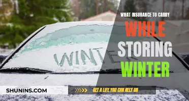 Winter Storage: Insuring Your Vehicle