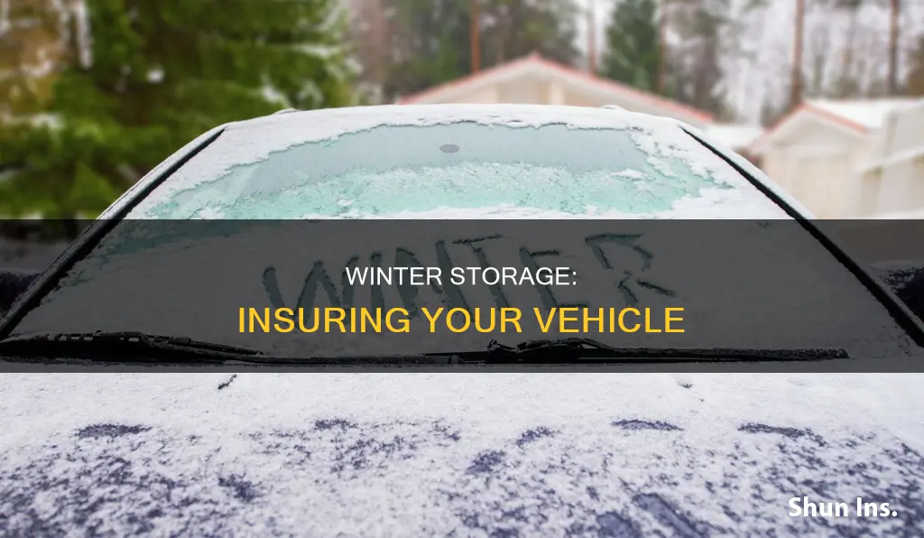 what insurance to carry while storing winter