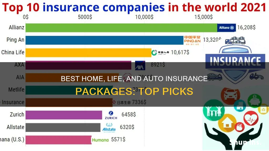 what insureance company has the best home life auto package