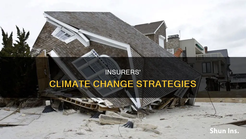 what insurers are doing climate change