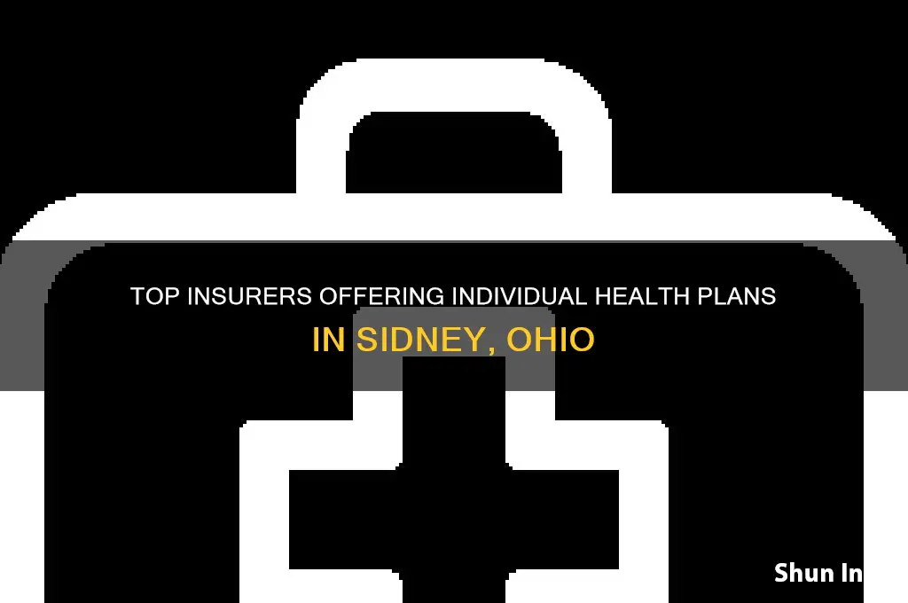 what insurers selling individual health insurance in sidney ohio