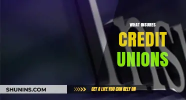 Understanding Credit Union Insurance: Protection and Peace of Mind for Members