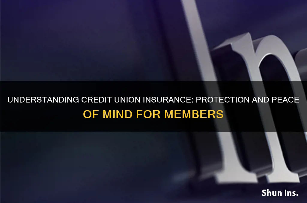 what insures credit unions