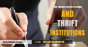 Deposit Insurance: Who Insures Bank and Thrift Accounts?