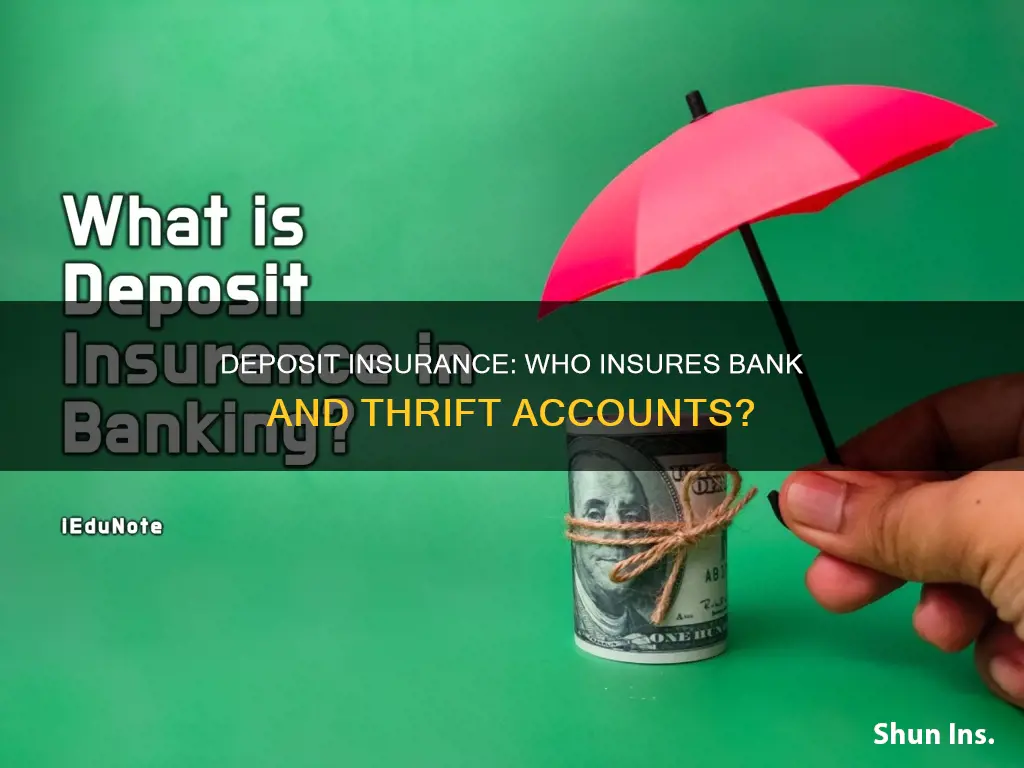what insures deposits in banks and thrift institutions