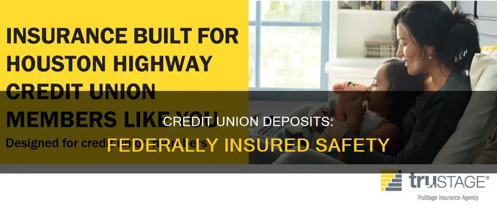 what insures money in credit unions