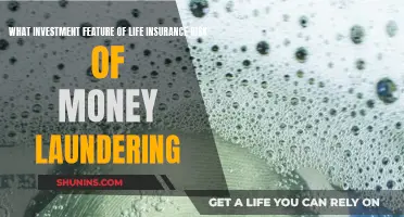 Life Insurance and Money Laundering: Investment Risks