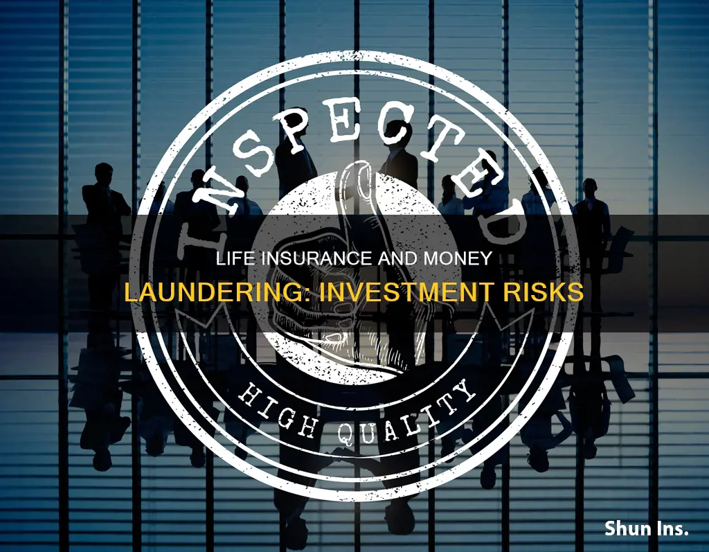 what investment feature of life insurance risk of money laundering