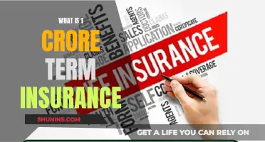 Secure Future, Smart Move: Understanding the Benefits of 1 Crore Term Insurance