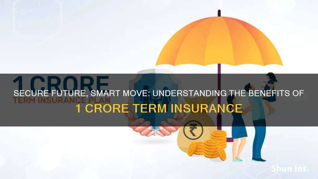 what is 1 crore term insurance