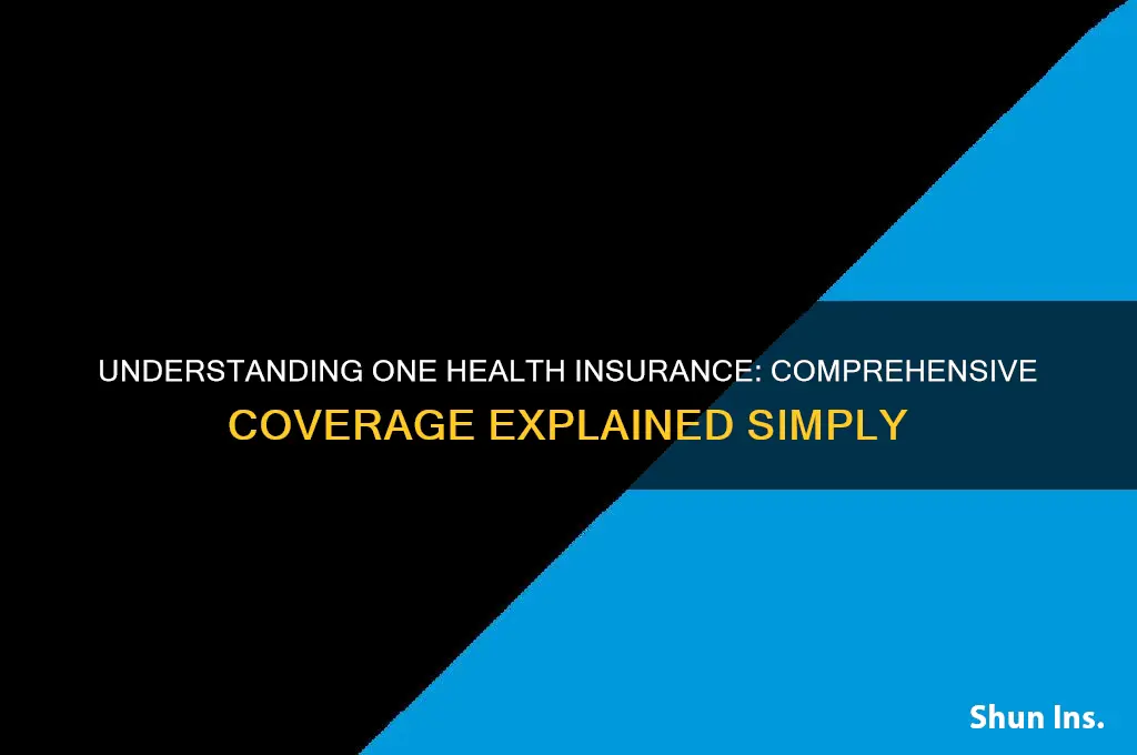 what is 1 health insurance