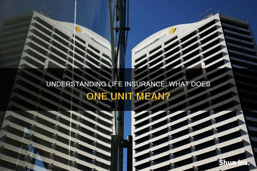 what is 1 unit of life insurance