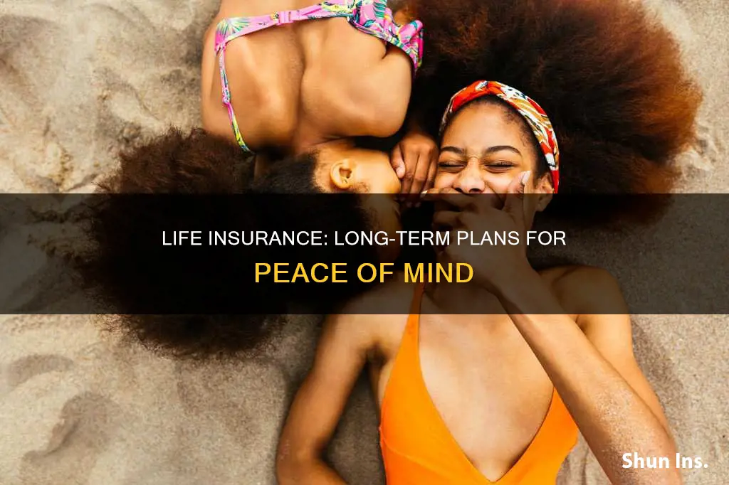 what is 10 and 20 year term life insurance