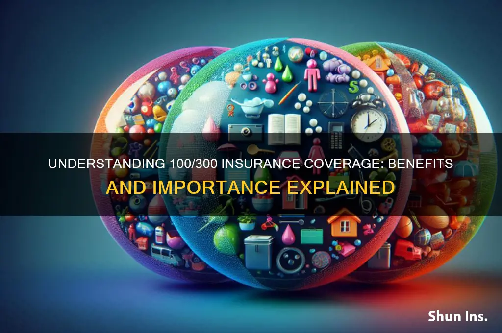 what is 100 300 insurance
