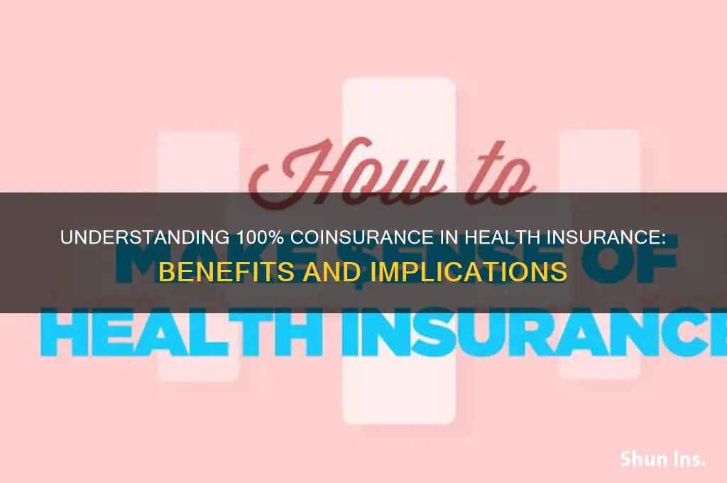 what is 100 coinsurance in health insurance