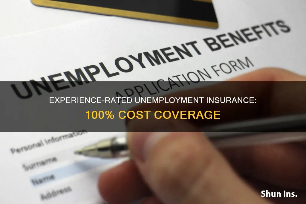 what is 100 experience rated unemployment insurance