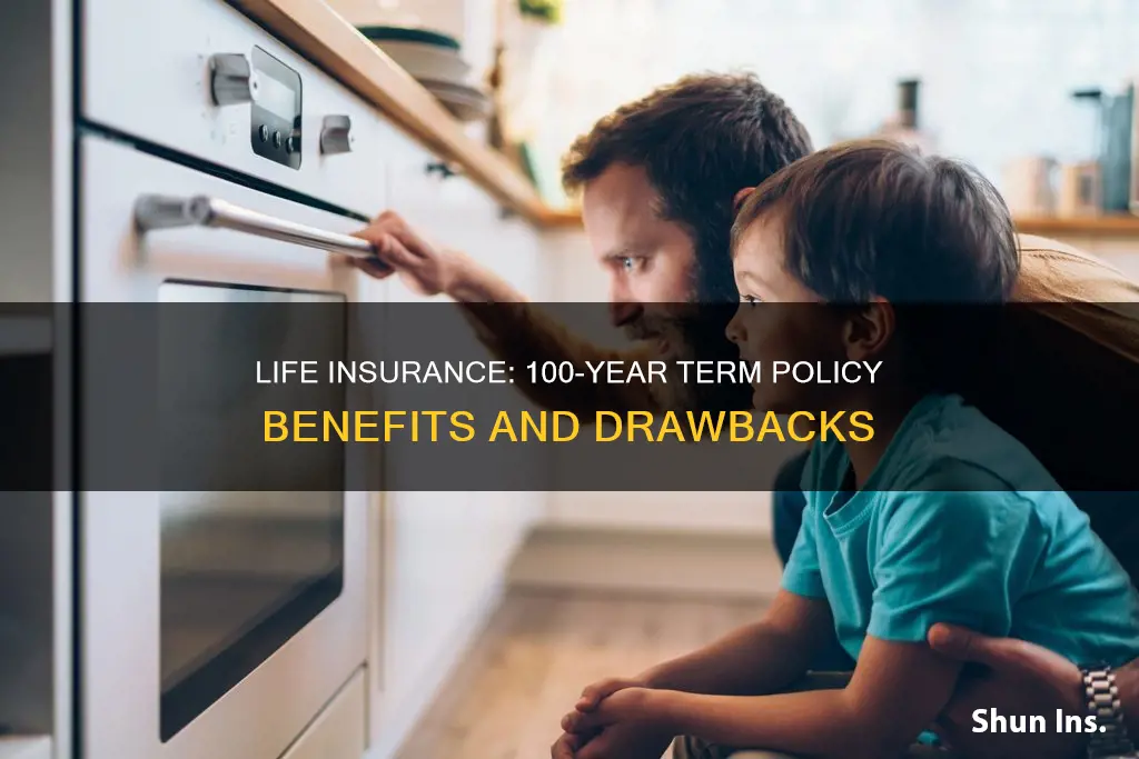 what is 100 year level term life insurance