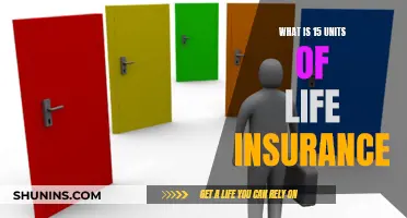 How Much Coverage: Understanding 15 Units of Life Insurance