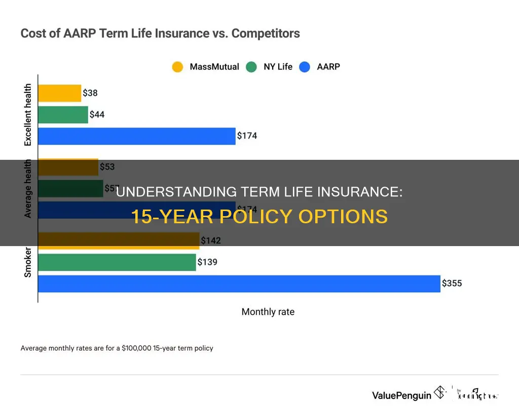 what is 15 year level term life insurance