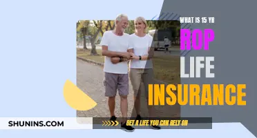 Rop Life Insurance: 15-Year Policies Explained